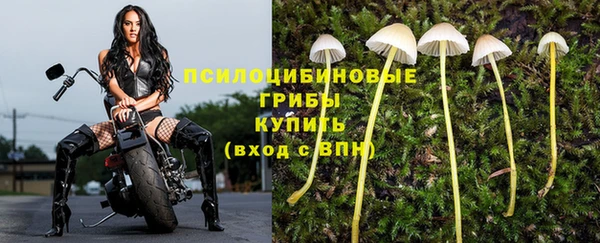 герыч Бородино