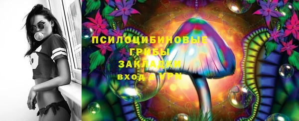 герыч Бородино