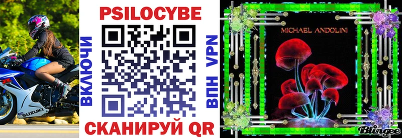 Псилоцибиновые грибы Psilocybine cubensis купить Чегем